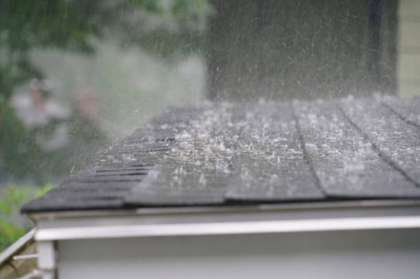Best Roof Maintenance and Cleaning  in Deerwood, TX
